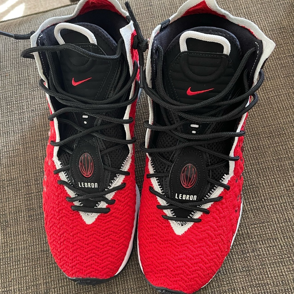 Lebron XVII